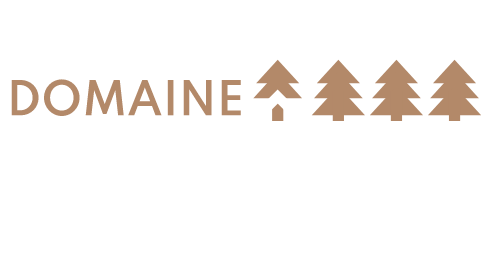 logo-domaine-st-come