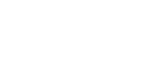 logo-investiir